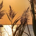 Parawan dwustronny, Zachodzące słońce nad jeziorem - 145x170