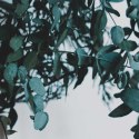 Parawan dwustronny, Zielona roślina w wazonie - 180x170