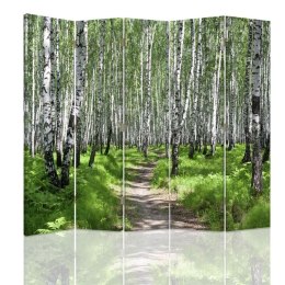 Parawan dwustronny, Ścieżka przez brzozowy las - 180x170