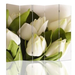 Parawan dwustronny, Świeże białe tulipany - 180x170