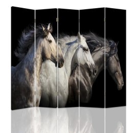 Parawan dwustronny, Trzy konie - 180x170