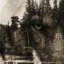 Parawan dwustronny, Wilk na tle lasu w brązach - 180x170
