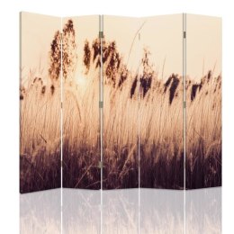 Parawan dwustronny, Wysokie trawy w sepii - 180x170