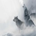 Parawan dwustronny, Zwierzęta zimą - 180x170
