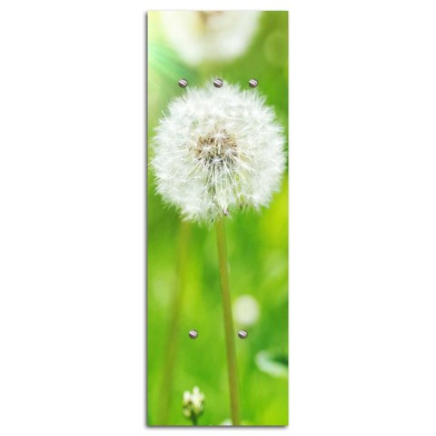 Wieszak, Abstrakcja dmuchawiec - 30x90