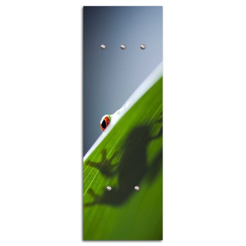 Wieszak, Żaba na liściu - 25x70