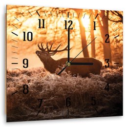 Obraz z zegarem, Jeleń w blasku słońca - 40x40
