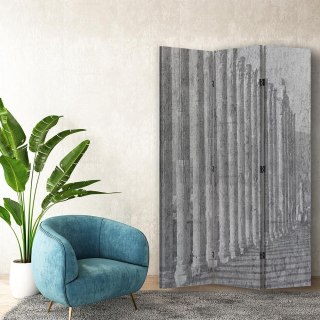 Parawan dwustronny obrotowy, Architektoniczny porządek - 110x170