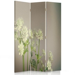 Parawan dwustronny obrotowy, Koniczyna - 110x170