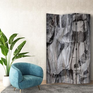 Parawan dwustronny obrotowy, Surowa szarość - 110x170