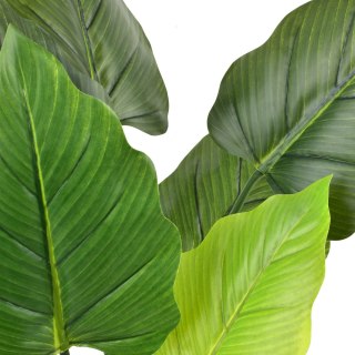 Kwiat sztuczny alocasia w doniczce 65cm