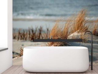 Fototapeta, Wydmy nad Morzem Bałtyckim - 368x254