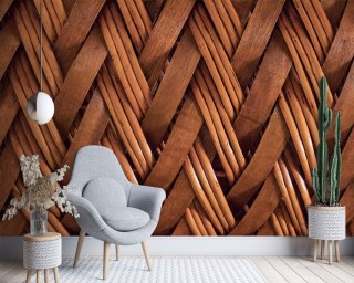 Fototapeta, Splot wikliny 3D - 100x70