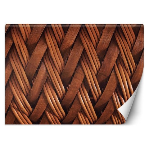 Fototapeta, Splot wikliny 3D - 200x140