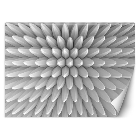 Fototapeta, Abstrakcja kolce tekstura 3D - 250x175