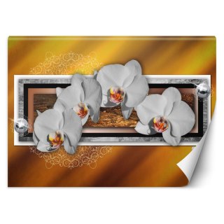 Fototapeta, Geometria i orchidea - 150x105