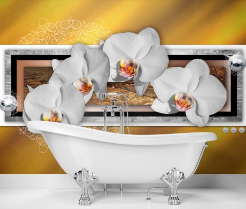 Fototapeta, Geometria i orchidea - 200x140