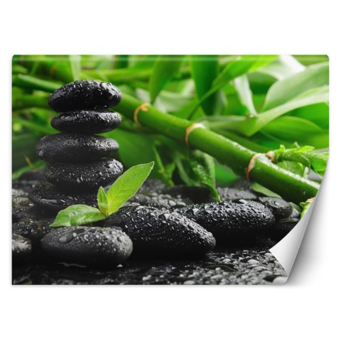 Fototapeta, Bambus kamienie zen - 200x140