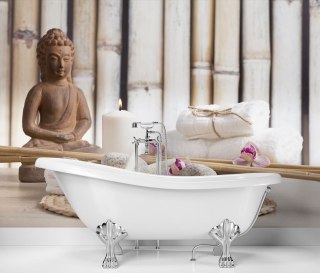 Fototapeta, Budda spa medytacja - 400x280