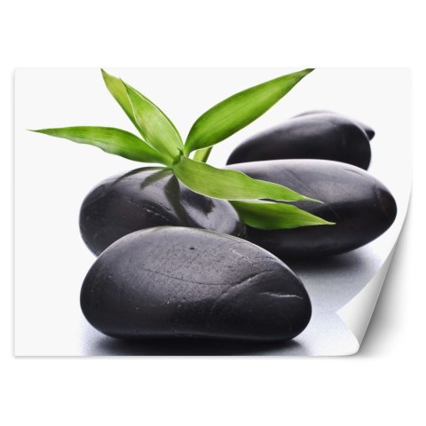 Fototapeta, Kamienie zen liść - 250x175
