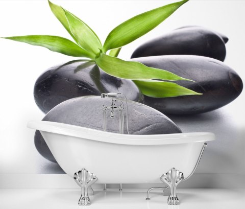 Fototapeta, Kamienie zen liść - 300x210