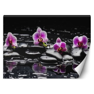 Fototapeta, Kamienie zen orchidea - 200x140