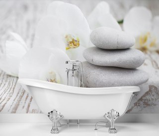 Fototapeta, Kwiaty kamienie zen - 250x175