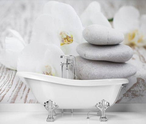 Fototapeta, Kwiaty kamienie zen - 250x175