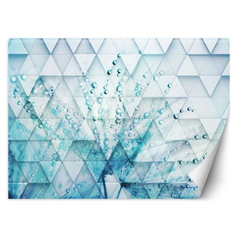 Fototapeta, Turkusowy dmuchawiec w kroplach rosy - 150x105