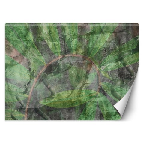 Fototapeta, Tropikalne rośliny - 250x175