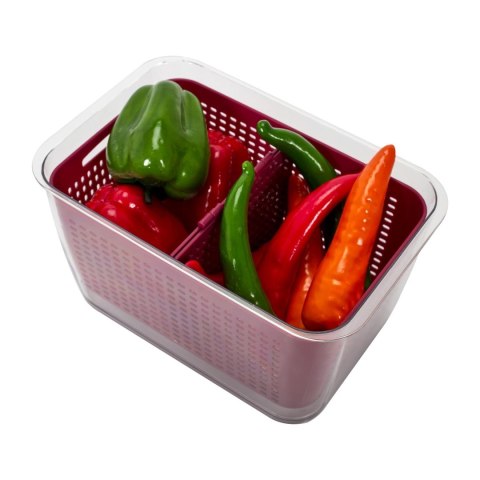 Pojemnik do przechowywania w lodówce owoców i warzyw bordowy