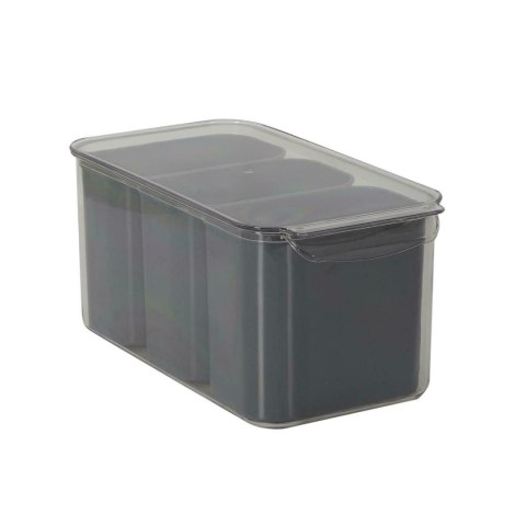 Pojemnik potrójny do przechowywania w lodówce szary