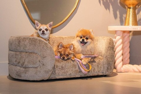 RICHMOND legowisko dla psa BINGO ciemny beż