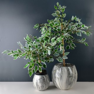 VIRIDIS Sztuczny kwiat fikus benjamin 13x12x65cm