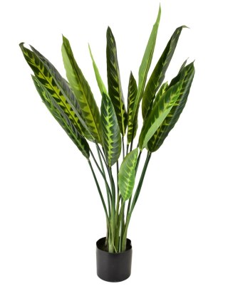 VIRIDIS Sztuczny kwiat kalatea 15x14x109cm