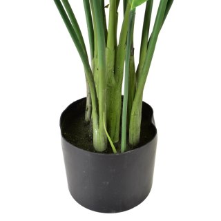 VIRIDIS Sztuczny kwiat kalatea 15x14x109cm