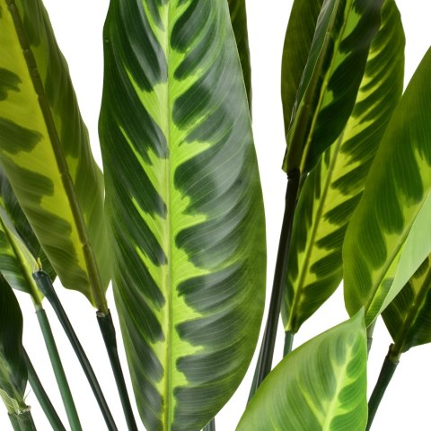 VIRIDIS Sztuczny kwiat kalatea 15x14x109cm