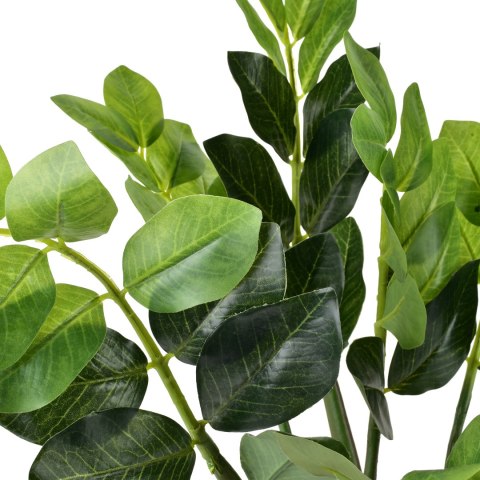 VIRIDIS Sztuczny kwiat zamiokulkas 12,5z11,5x49cm