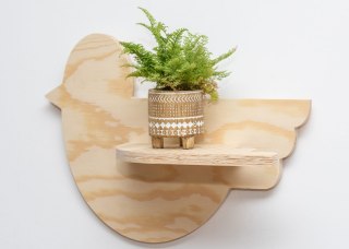 Kwietnik ścienny ptaszek M