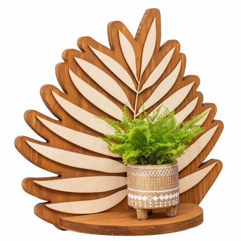 Kwietnik ścienny liść