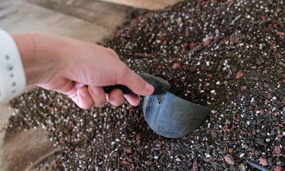 Podłoża do warzyw, kwiatów i trawników – osobne potrzeby