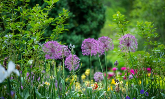 Projektowanie ogrodu - jak zaaranżować nowoczesną i funkcjonalną przestrzeń?