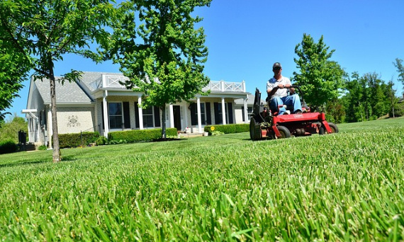 Jak wybrać odpowiednie narzędzia do różnych zadań w ogrodzie?