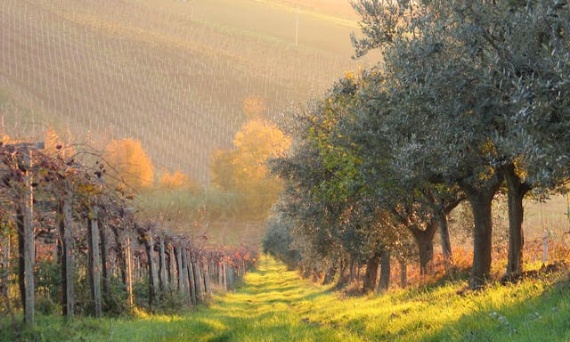 Pejzaż uchwycony na ścianie – sztuka natury we wnętrzu