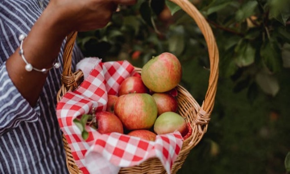 Ocet jabłkowy – jak zrobić, gdy trwa sezon na świeże owoce