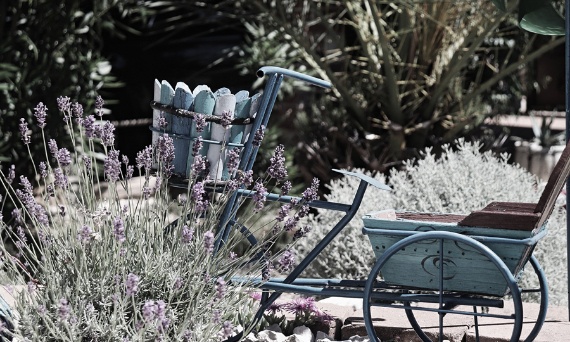 Taras prowansalski – jak go urządzić?